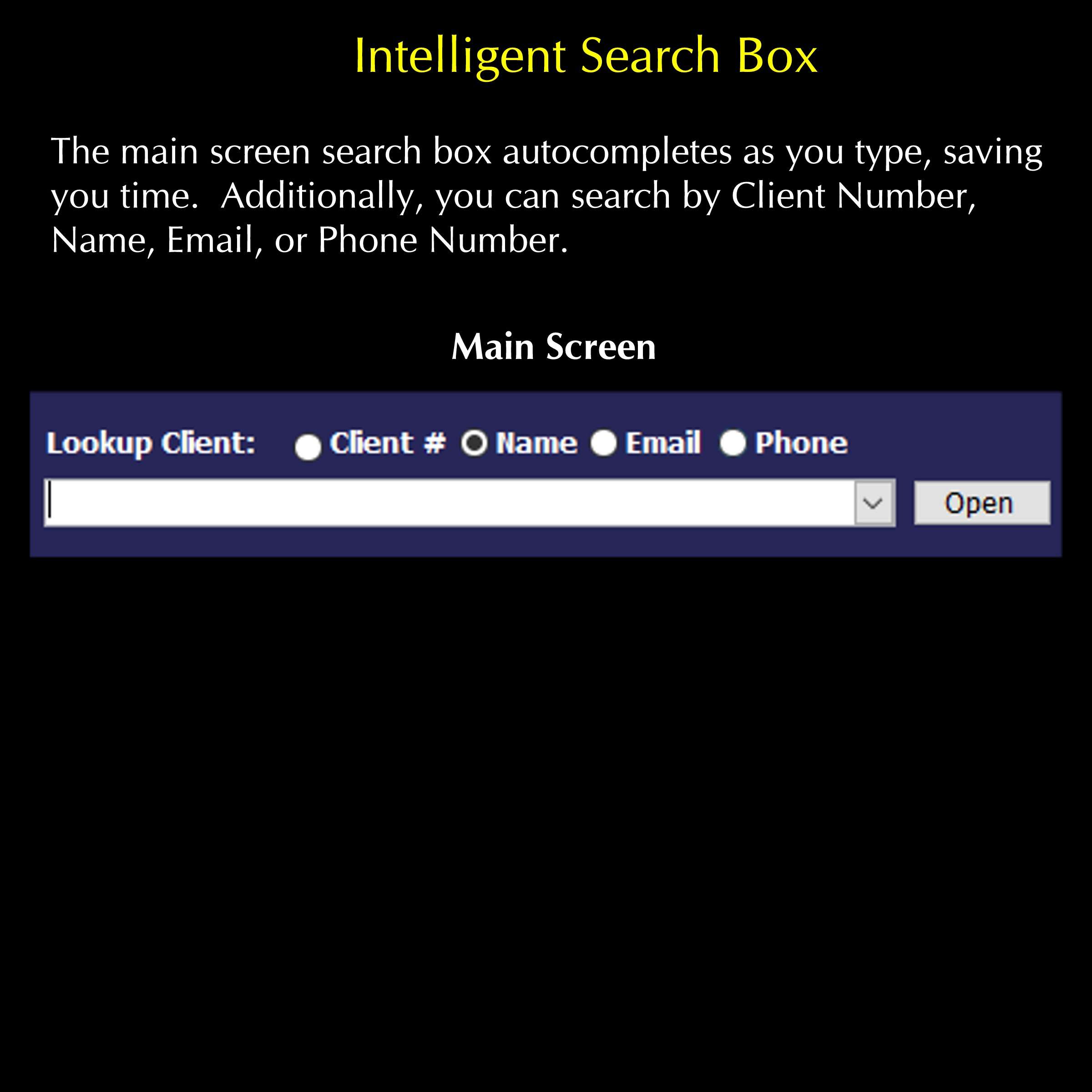 FirstVoiceData 02 - Search Box